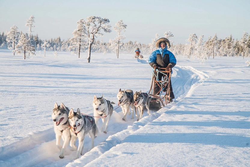 Husky tours